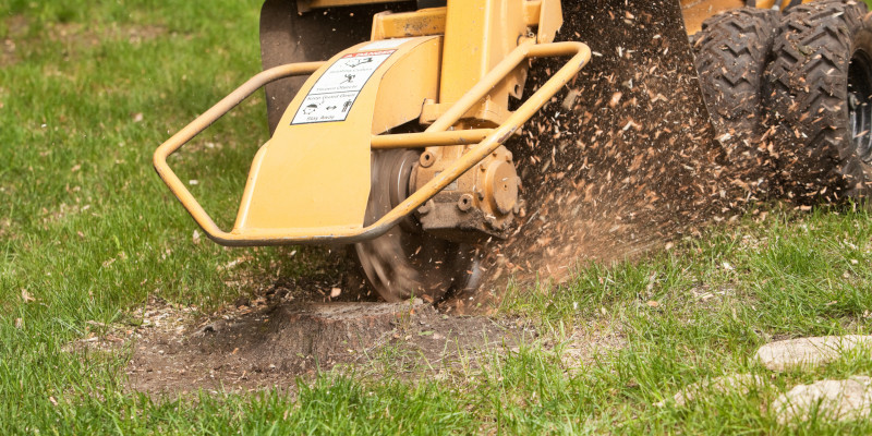 Stump Removal in Raleigh, North Carolina