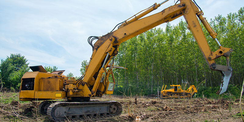 What Factors Affect Quotes for Land Clearing?